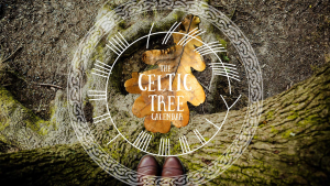 Celtic Tree Course